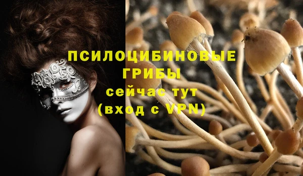 прущие крисы Балахна