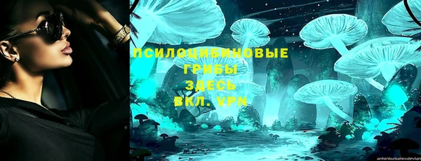 прущие крисы Балахна