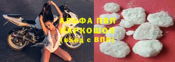 прущие крисы Балахна